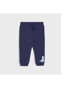 Sinsay - Spodnie dresowe - Granatowy. Kolor: niebieski. Materiał: dresówka