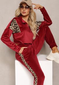 Renee - Bordowy Komplet Dresowy z Weluru z Krótką Bluzą i Spodniami Joggerami z Panterkowym Wzorem Limitta. Kolor: czerwony. Materiał: welur, dresówka