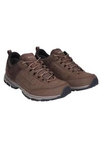 MEINDL - Buty Meindl Durban GTX. Kolor: brązowy
