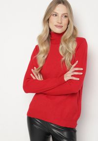 Born2be - Czerwony Casualowy Golf z Wełną o Prostym Kroju Reiselia. Okazja: na co dzień. Typ kołnierza: golf. Kolor: czerwony. Materiał: wełna. Styl: casual #4