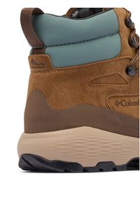 columbia - Columbia Trekkingi Newton Alpine PT™ 2128861 Brązowy. Kolor: brązowy. Materiał: skóra, zamsz. Sport: turystyka piesza