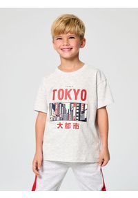 Sinsay - Koszulka z nadrukiem - szary. Kolor: szary. Wzór: nadruk #1