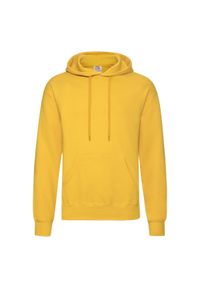 FRUIT OF THE LOOM - Męska Klasyczna Bluza Z Kapturem. Typ kołnierza: kaptur. Kolor: żółty, pomarańczowy, wielokolorowy