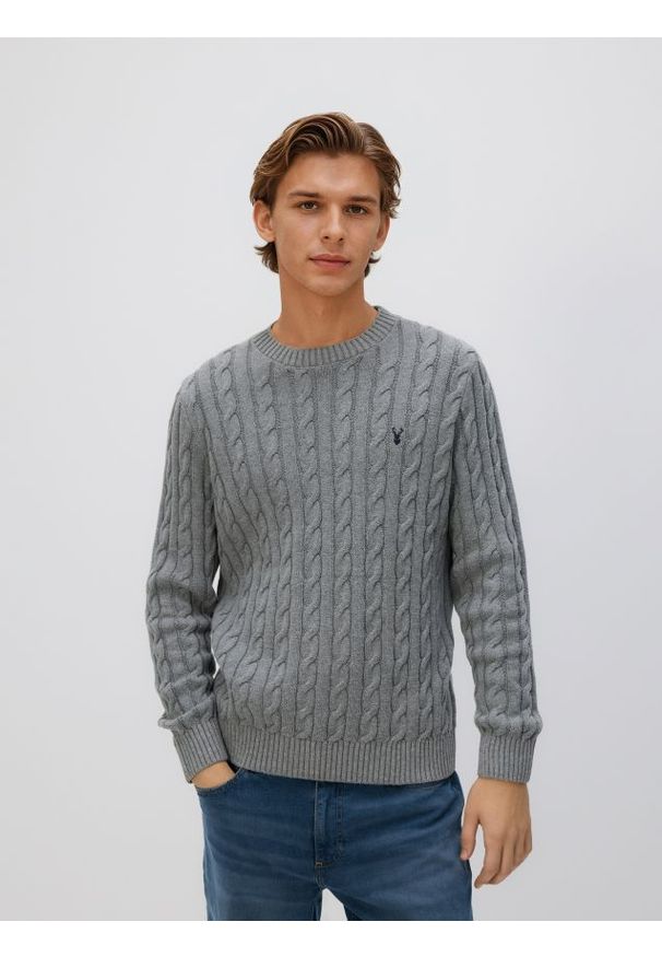 Reserved - Sweter z warkoczowym splotem - szary. Kolor: szary. Materiał: dzianina, bawełna. Wzór: ze splotem