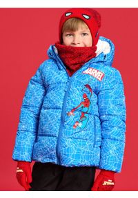 Sinsay - Kurtka puffer z nadrukiem Spiderman - niebieski. Kolor: niebieski. Wzór: nadruk, motyw z bajki