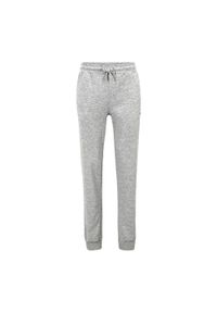 Fila - Spodnie męskie FILA Braives Sweet. Kolor: szary. Długość: długie