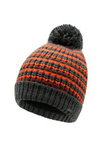 Regatta - Czapka Unisex Dla Dorosłych Headstart. Kolor: szary. Sezon: zima. Styl: sportowy #1