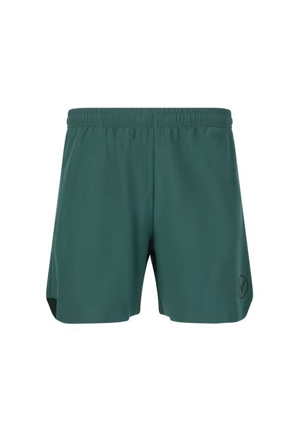 VIRTUS - Szorty Virtus Spier V2. Kolor: wielokolorowy, niebieski, fioletowy, zielony. Długość: krótkie. Sezon: lato. Sport: fitness