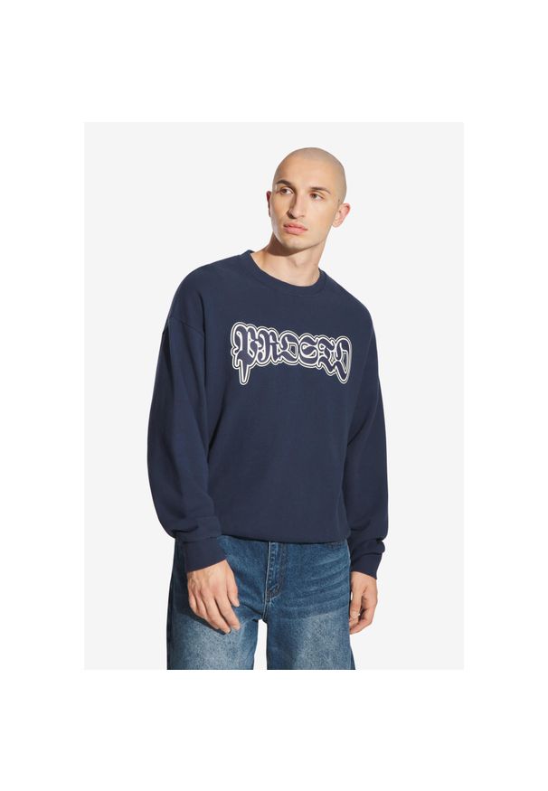 Bluza sportowa męska Prosto Graffiti Logo bez kaptura. Typ kołnierza: bez kaptura. Kolor: niebieski