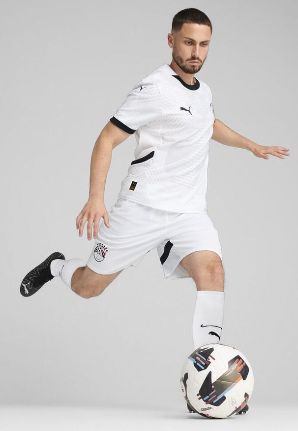 Puma - Męskie szorty Egipt 2025 PUMA White Cool Mid Gray. Kolor: biały, wielokolorowy, szary