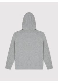 Pako Lorente - Rozpinana bluza dresowa w szarym kolorze. Okazja: na co dzień. Typ kołnierza: kaptur. Kolor: szary. Materiał: dresówka. Wzór: gładki. Styl: casual