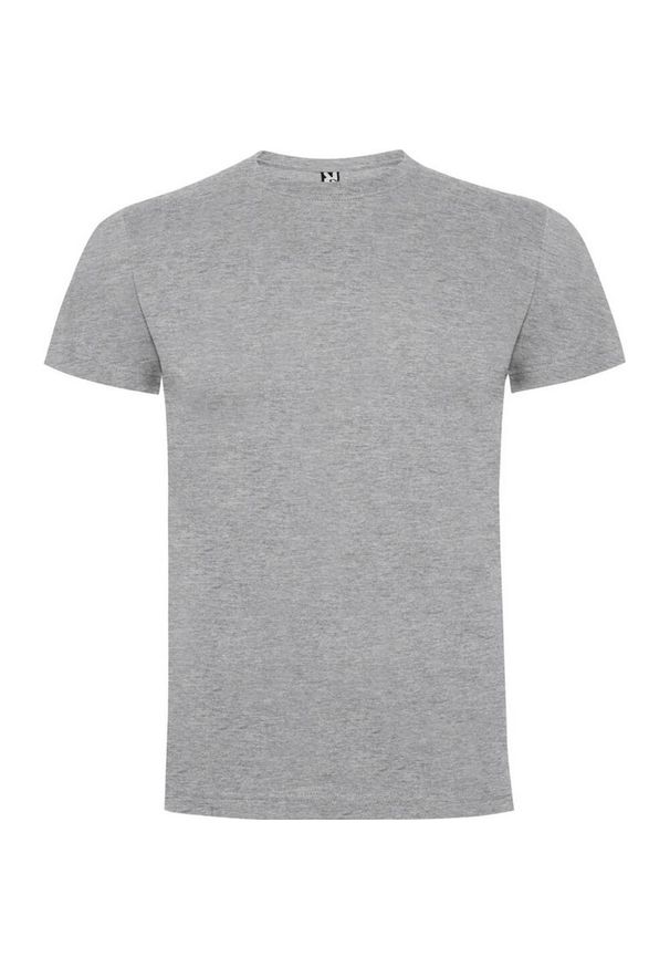 ROLY - Męska Koszulka Dogo Premium. Kolor: szary. Sport: turystyka piesza