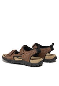 Geox Sandały Uomo Sandal Strada U4524B 000ME C6006 Brązowy. Kolor: brązowy. Materiał: skóra