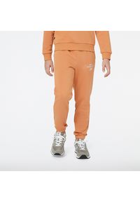 Spodnie dziecięce New Balance YP31508SEI – pomarańczowe. Kolor: pomarańczowy. Materiał: dresówka, bawełna, poliester