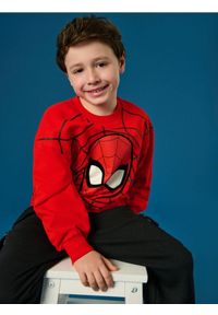 Sinsay - Bluza Spider-Man - czerwony. Kolor: czerwony. Długość rękawa: długi rękaw. Długość: długie. Wzór: motyw z bajki