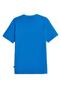 Koszulka fitness męska Puma Graphics Cat Tee. Kolor: niebieski. Sport: fitness