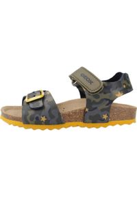 Geox - Sandały GEOX B SANDAL CHALKI BOY Zielony. Kolor: zielony. Materiał: syntetyk, tkanina. Sezon: lato