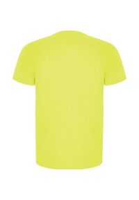 ROLY - Męska Koszulka Sportowa Imola Z Krótkim Rękawem. Kolor: żółty. Długość rękawa: krótki rękaw. Długość: krótkie. Sport: turystyka piesza #2