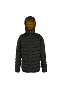 Regatta - Męska Ocieplana Kurtka Asper. Kolor: czarny. Materiał: puch. Sport: turystyka piesza #1