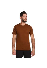 Koszulka Kilpi Sloper. Kolor: brązowy. Materiał: materiał, wełna, syntetyk. Sport: turystyka piesza #1