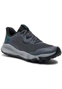 Buty do biegania męskie Under Armour Charged Maven Trail. Kolor: szary, wielokolorowy. Materiał: materiał, syntetyk. Szerokość cholewki: normalna. Sport: bieganie