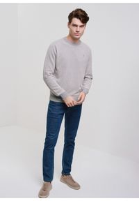 Ochnik - Szary bawełniany sweter męski. Kolor: szary. Materiał: bawełna