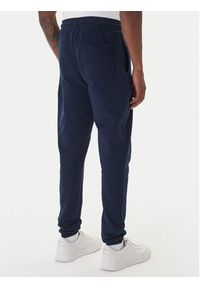 Tommy Jeans Spodnie dresowe DM0DM22094 Granatowy Relaxed Fit. Kolor: niebieski. Materiał: bawełna