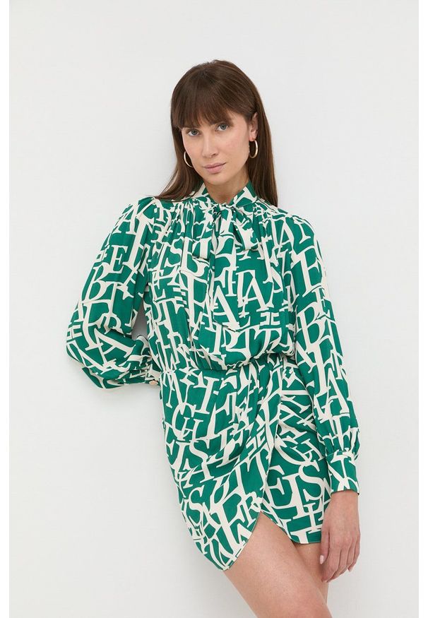 Elisabetta Franchi sukienka kolor zielony mini prosta. Okazja: na co dzień. Kolor: zielony. Długość rękawa: długi rękaw. Typ sukienki: proste. Styl: casual. Długość: mini