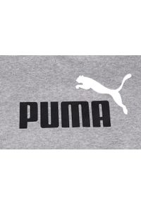 Bluza sportowa dla dzieci Puma ESS 2 Col Big Logo Crew FL. Kolor: szary