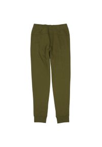 Spodnie męskie Champion Rib Cuff Pants. Kolor: zielony. Materiał: dresówka