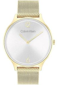 Calvin Klein - Zegarek Damski CALVIN KLEIN Timeless Mesh 25200003 + BOX. Materiał: mesh #1