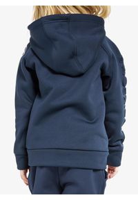 Bluza z kapturem dziecięca Didriksons Corin Full Zip. Typ kołnierza: kaptur. Kolor: niebieski
