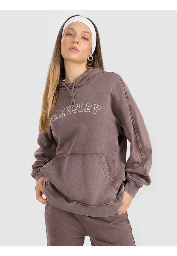 4f - 4F Bluza dresowa nierozpinana z kapturem damska - brązowa L. Okazja: na co dzień. Typ kołnierza: kaptur. Kolor: brązowy. Materiał: dresówka. Styl: casual