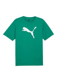 Puma - Jersey Męska Logo Z Bawełny Team Rise. Kolor: zielony. Materiał: jersey, bawełna. Sport: turystyka piesza