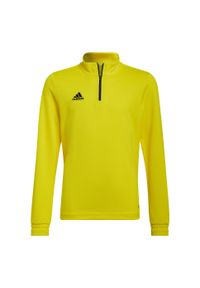 Adidas - Bluza piłkarska dla dzieci adidas Entrada 22 Training Top. Kolor: żółty. Sport: piłka nożna