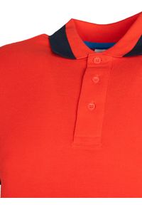 Invicta Koszulka Polo | 4452240 / U | Mężczyzna | Czerwony. Okazja: na co dzień. Typ kołnierza: polo. Kolor: czerwony. Materiał: bawełna. Długość rękawa: krótki rękaw. Wzór: aplikacja. Styl: casual, klasyczny #3