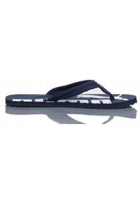 Klapki damskie Puma Epic Flip V2. Kolor: niebieski. Materiał: syntetyk, tkanina, materiał. Styl: sportowy