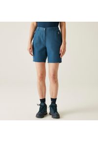 Regatta - Szorty damskie Chaska. Kolor: zielony. Materiał: tkanina. Sport: turystyka piesza #1