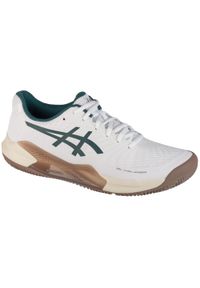 Buty do tenisa męskie Asics Gel Challenger 14. Kolor: biały, wielokolorowy, zielony. Materiał: materiał, syntetyk. Szerokość cholewki: normalna. Sport: tenis