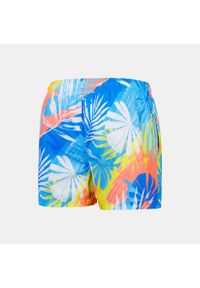 Męskie szorty plażowe Speedo Printed Leisure 14". Kolor: wielokolorowy
