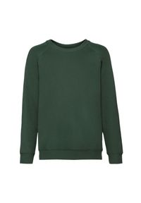 FRUIT OF THE LOOM - Bluza Dziecięca Classic Raglan. Kolor: zielony. Długość rękawa: raglanowy rękaw