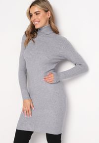 Born2be - Szara Dopasowana Sukienka Mini z Prążkowanej Dzianiny i Golfem Helmine. Typ kołnierza: golf. Kolor: szary. Materiał: dzianina, prążkowany. Długość rękawa: długi rękaw. Długość: mini #5