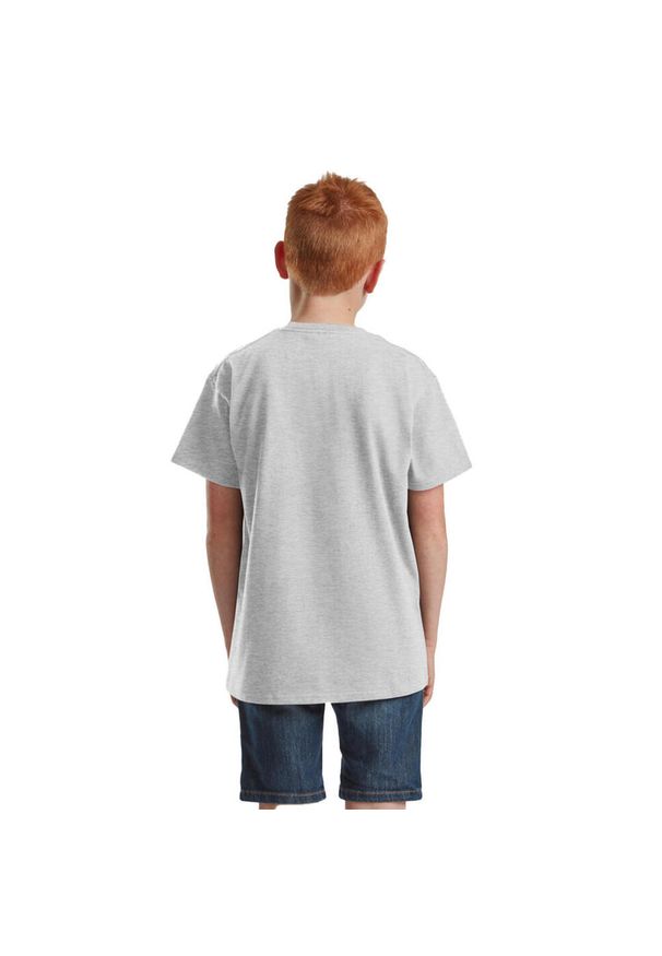 FRUIT OF THE LOOM - Kultowa Koszulka Dziecięca / Dziecięca. Kolor: szary. Sport: turystyka piesza