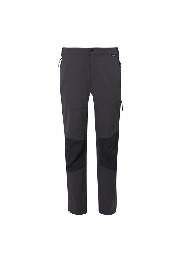 Regatta - Questra V Męskie spacerowe spodnie turystyczne. Kolor: szary, wielokolorowy, brązowy. Materiał: poliamid. Sezon: lato. Sport: turystyka piesza