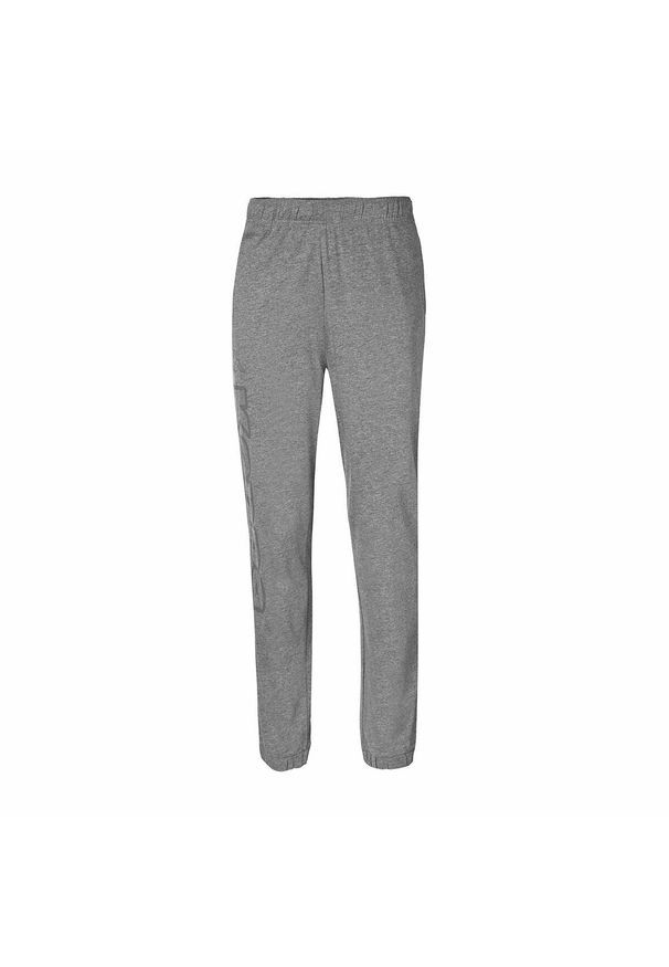 Spodnie do biegania Kappa Costi. Kolor: szary. Materiał: dresówka
