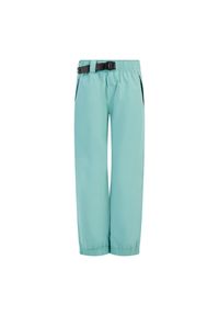 Spodnie narciarskie dla kobiet Protest Sami. Kolor: niebieski. Sezon: zima. Sport: narciarstwo #1