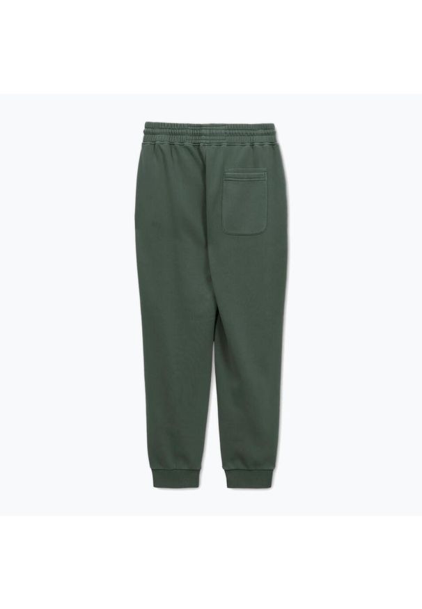 PITBULL - Spodnie męskie Pitbull Lancaster 2 Track Pants. Kolor: zielony
