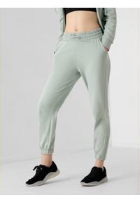 4f - Spodnie dresowe joggery damskie. Materiał: dresówka #2