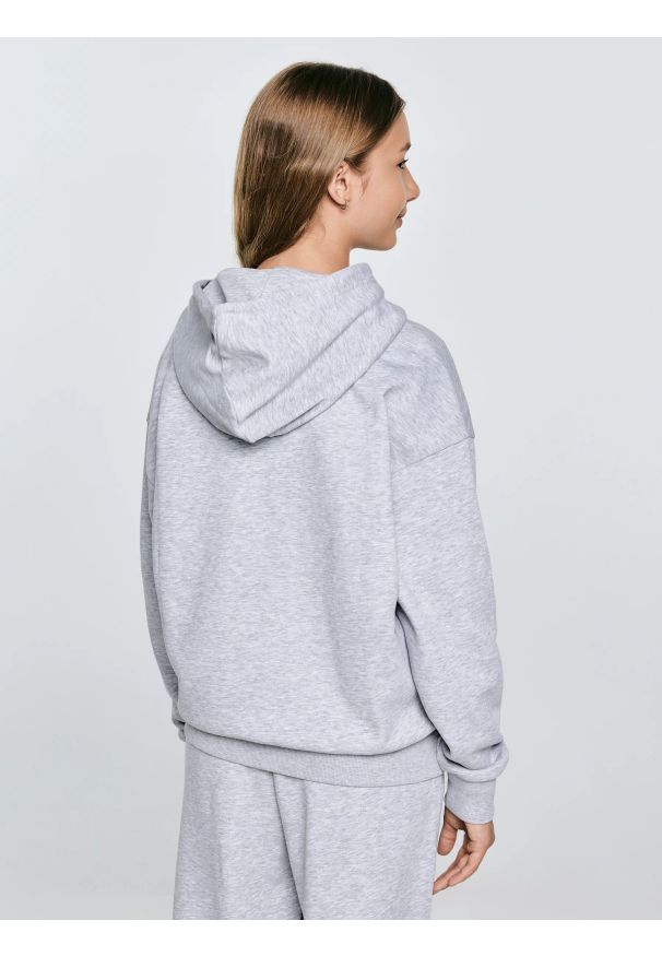 Big-Star - Bluza dziewczęca rozpinana z kapturem szara Milana 901. Okazja: na uczelnię, na co dzień. Typ kołnierza: kaptur. Kolor: szary. Materiał: dzianina. Wzór: haft, melanż. Styl: casual, klasyczny