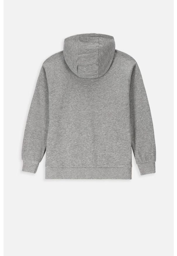 Lemon Explore - Bluza sportowa dziecięcy Lemon Exlopre ZL3 z kapturem. Typ kołnierza: kaptur. Kolor: szary. Materiał: bawełna, wiskoza. Wzór: nadruk